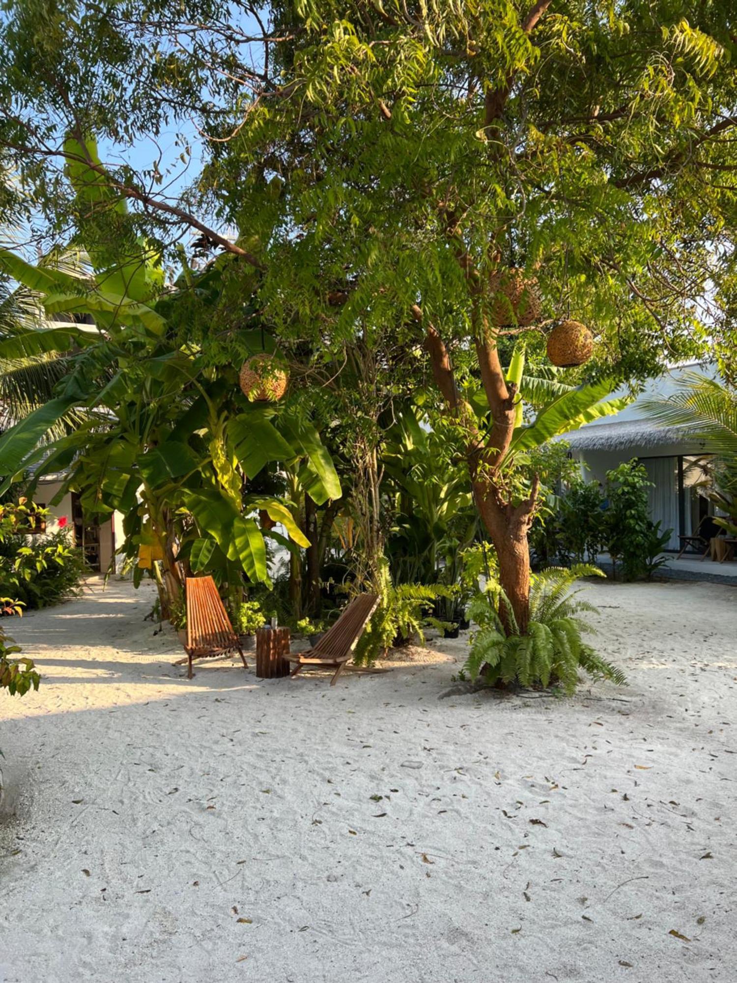 Coco Villa Thoddoo Exteriör bild