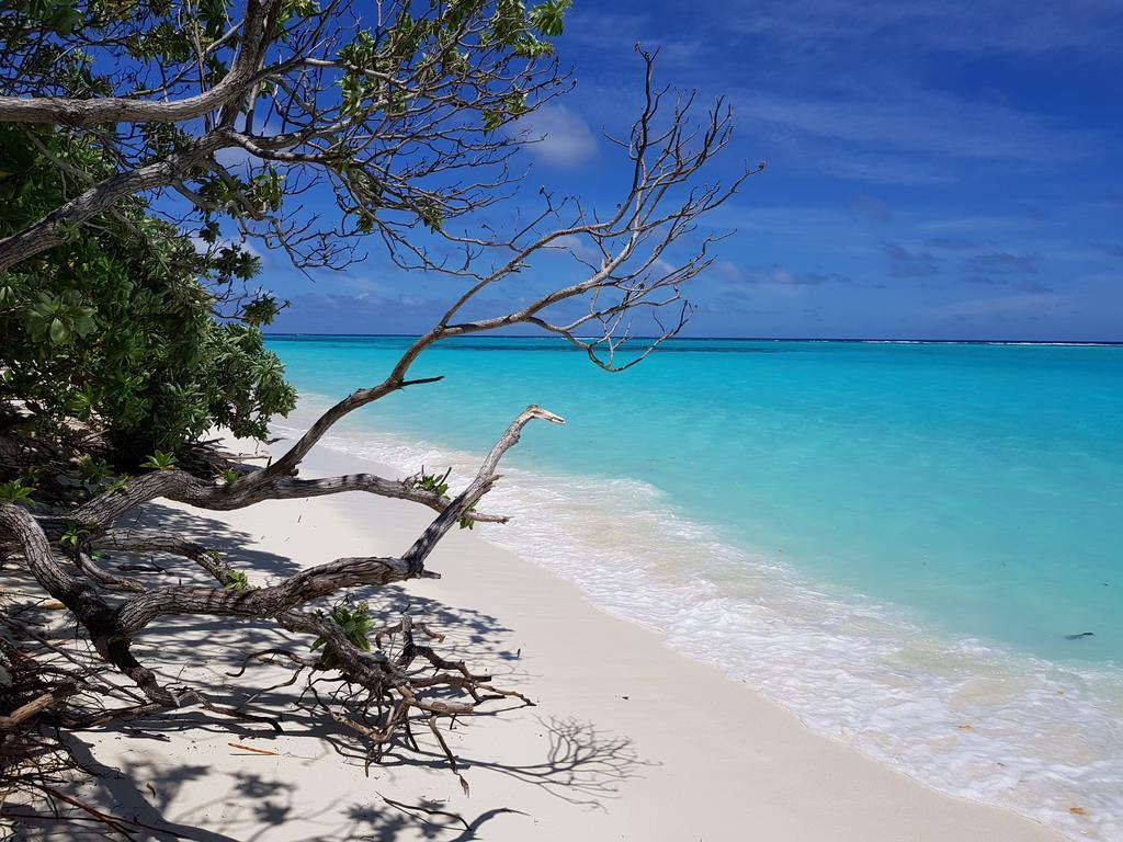 Coco Villa Thoddoo Exteriör bild